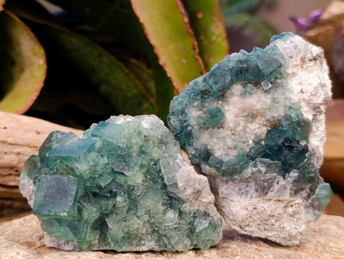 Natural Green Cubic Fluorite Specimens x 6 From Mandrosonoro, Madagascar - Toprock Gemstones and Minerals 