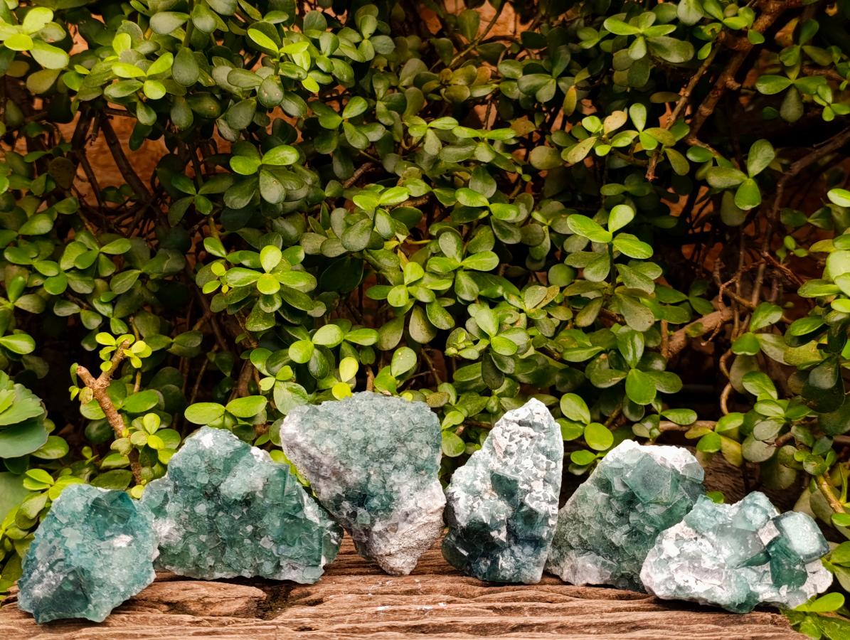 Natural Green Cubic Fluorite Specimens x 6 From Mandrosonoro, Madagascar - Toprock Gemstones and Minerals 