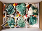 Natural Green Cubic Fluorite Specimens x 6 From Mandrosonoro, Madagascar - Toprock Gemstones and Minerals 