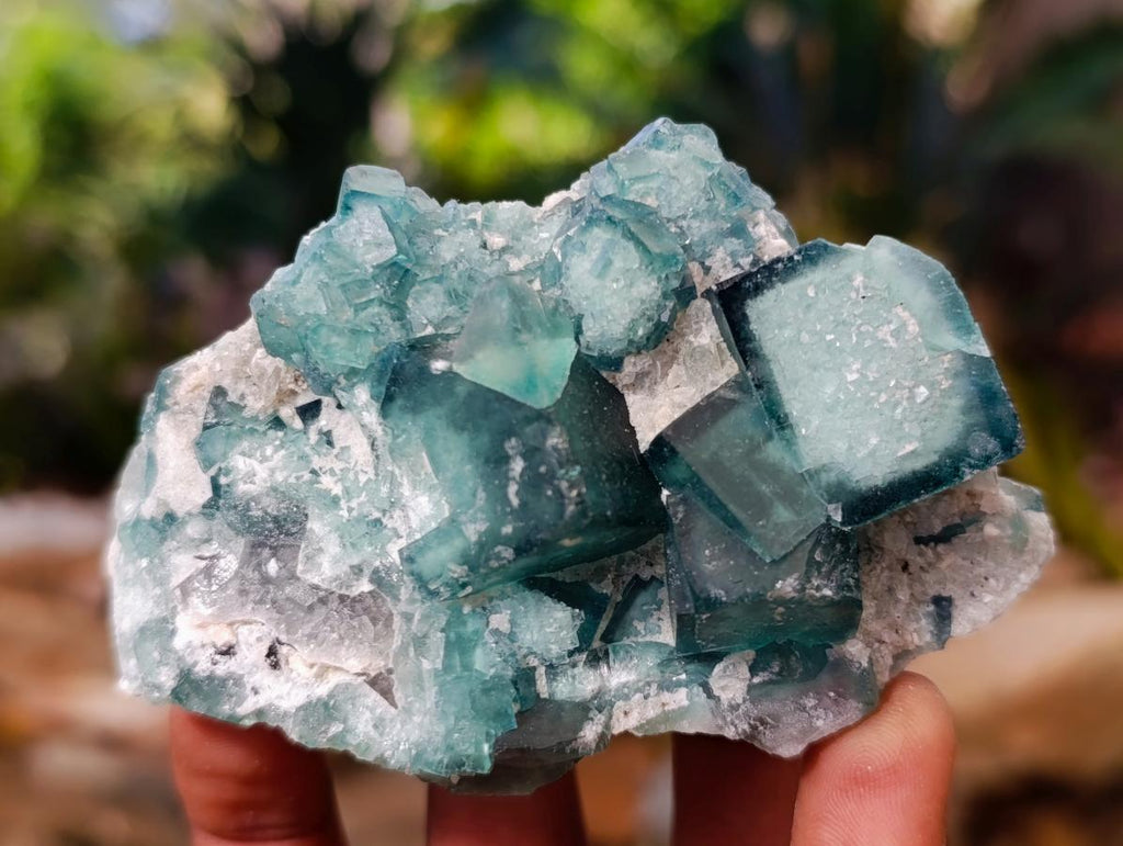 Natural Green Cubic Fluorite Specimens x 6 From Mandrosonoro, Madagascar - Toprock Gemstones and Minerals 