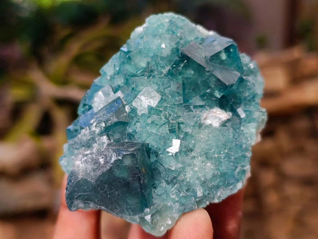 Natural Green Cubic Fluorite Specimens x 6 From Mandrosonoro, Madagascar - Toprock Gemstones and Minerals 