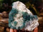Natural Green Cubic Fluorite Specimens x 6 From Mandrosonoro, Madagascar - Toprock Gemstones and Minerals 
