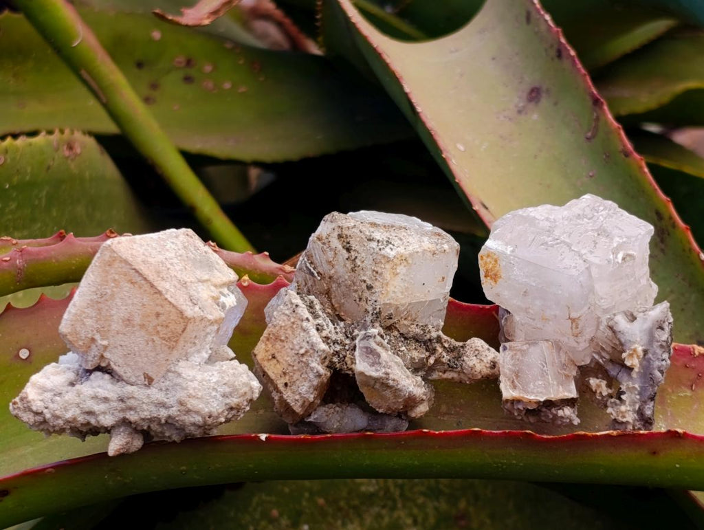 Natural Rhombohedral Spearhead Calcite Specimens x 12 From Albert's Mountain, Lesotho - Toprock Gemstones and Minerals 