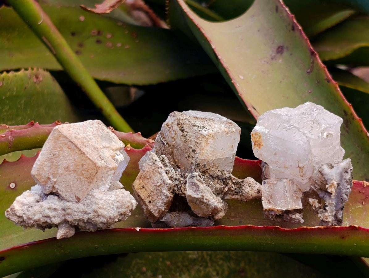 Natural Rhombohedral Spearhead Calcite Specimens x 12 From Albert's Mountain, Lesotho - Toprock Gemstones and Minerals 