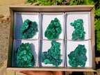 Natural Silky Malachite Specimens x 6 From Kasompe, Congo - Toprock Gemstones and Minerals 