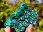 Natural Silky Malachite Specimens x 6 From Kasompe, Congo - Toprock Gemstones and Minerals 
