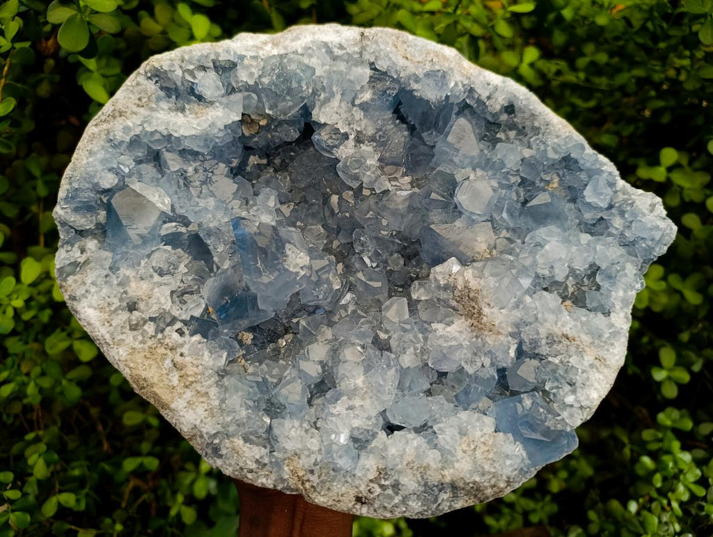 Natural XL Blue Celestite Geode Specimen x 1 From Sakoany, Madagascar - Toprock Gemstones and Minerals 