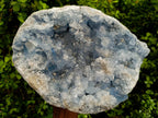 Natural XL Blue Celestite Geode Specimen x 1 From Sakoany, Madagascar - Toprock Gemstones and Minerals 
