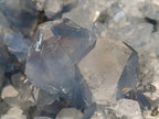 Natural XL Blue Celestite Geode Specimen x 1 From Sakoany, Madagascar - Toprock Gemstones and Minerals 