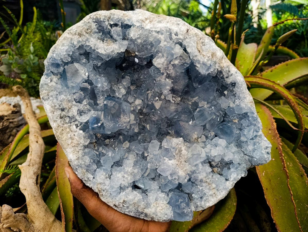 Natural XL Blue Celestite Geode Specimen x 1 From Sakoany, Madagascar - Toprock Gemstones and Minerals 