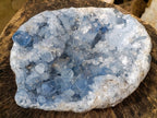 Natural XL Blue Celestite Geode Specimen x 1 From Sakoany, Madagascar - Toprock Gemstones and Minerals 