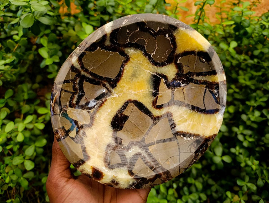 Polished Septerye Bowls x 2 From Mahajanga, Madagascar - Toprock Gemstones and Minerals 