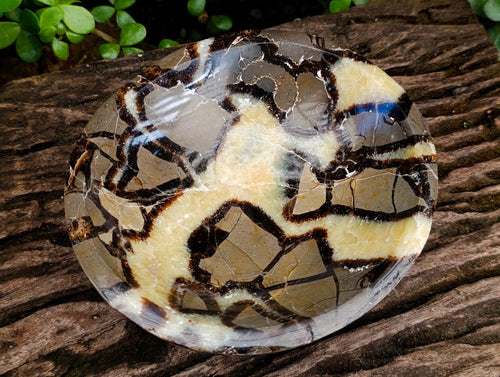 Polished Septerye Bowls x 2 From Mahajanga, Madagascar - Toprock Gemstones and Minerals 