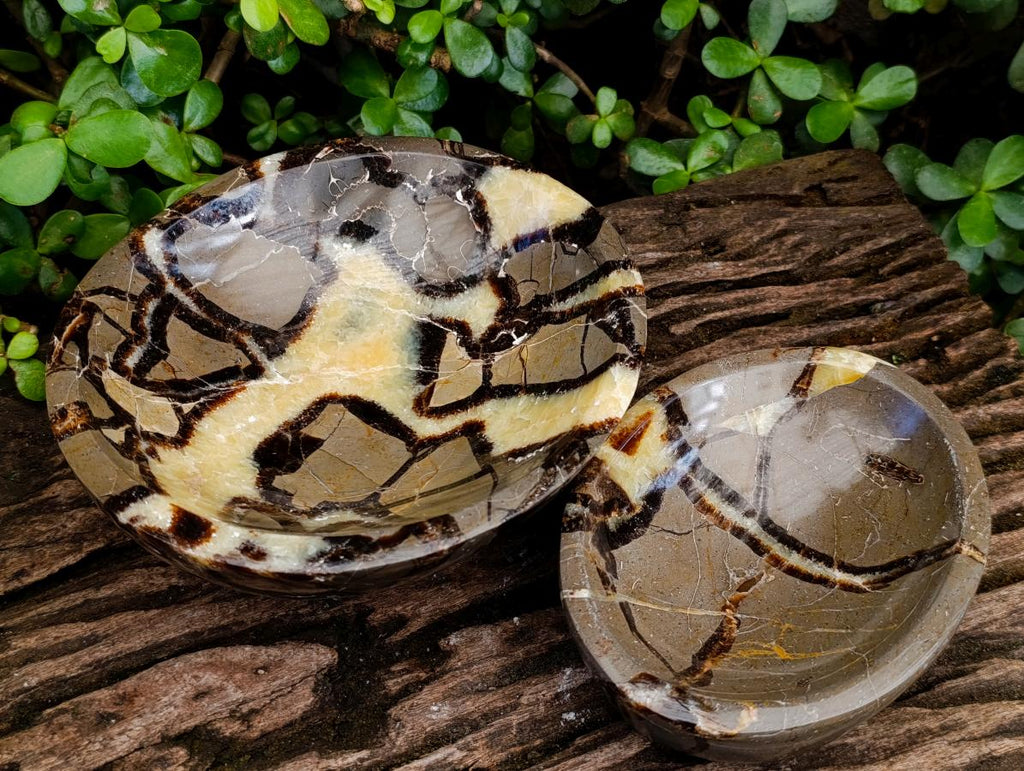 Polished Septerye Bowls x 2 From Mahajanga, Madagascar - Toprock Gemstones and Minerals 