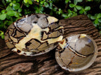 Polished Septerye Bowls x 2 From Mahajanga, Madagascar - Toprock Gemstones and Minerals 