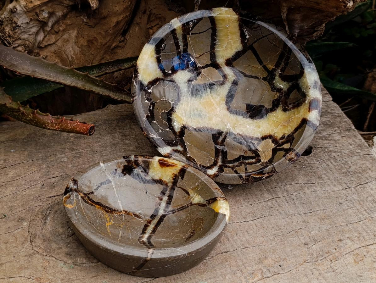 Polished Septerye Bowls x 2 From Mahajanga, Madagascar - Toprock Gemstones and Minerals 