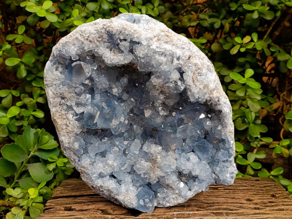 Natural XL Blue Celestite Geode Specimen x 1 From Sakoany, Madagascar - Toprock Gemstones and Minerals 