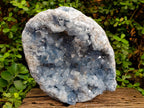 Natural XL Blue Celestite Geode Specimen x 1 From Sakoany, Madagascar - Toprock Gemstones and Minerals 