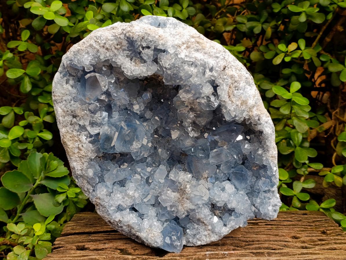 Natural XL Blue Celestite Geode Specimen x 1 From Sakoany, Madagascar - Toprock Gemstones and Minerals 