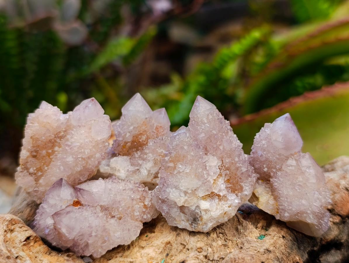 Natural Spirit Amethyst Crystals and Clusters x 35 From Boekenhouthoek, South Africa - Toprock Gemstones and Minerals 