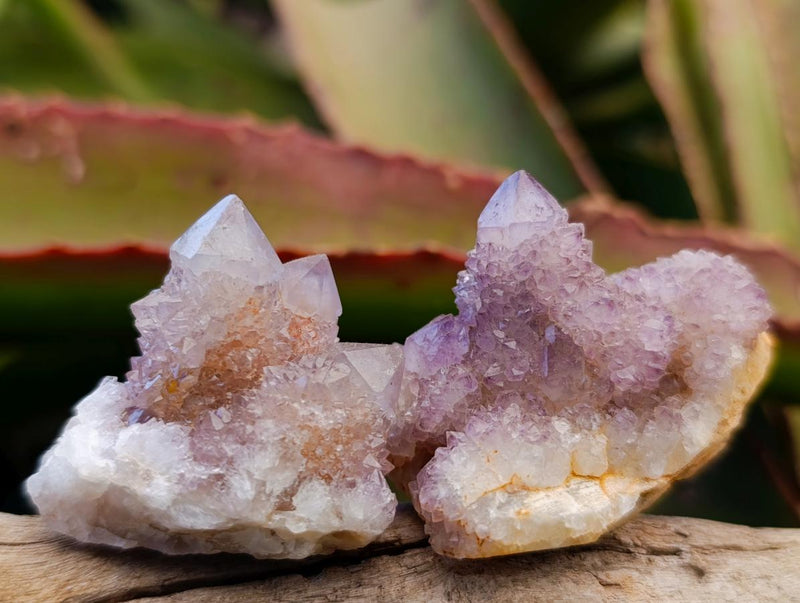 Natural Spirit Amethyst Crystals and Clusters x 35 From Boekenhouthoek, South Africa - Toprock Gemstones and Minerals 