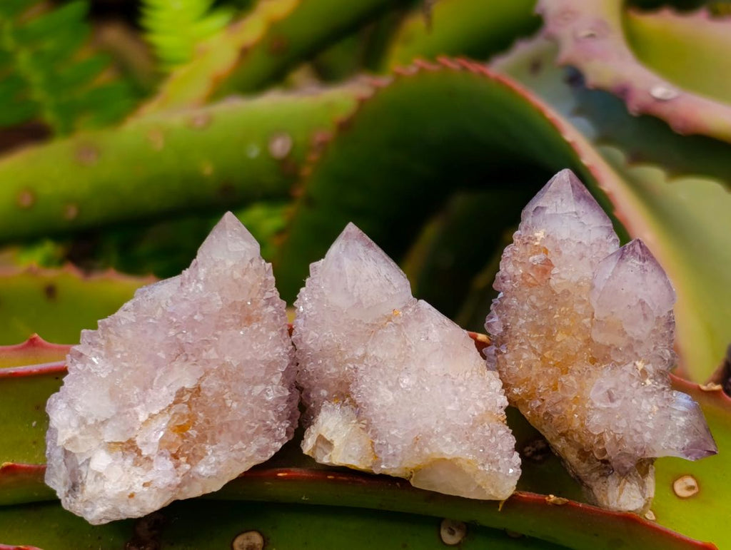 Natural Spirit Amethyst Crystals and Clusters x 35 From Boekenhouthoek, South Africa - Toprock Gemstones and Minerals 