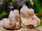 Natural Spirit Amethyst Crystals and Clusters x 35 From Boekenhouthoek, South Africa - Toprock Gemstones and Minerals 