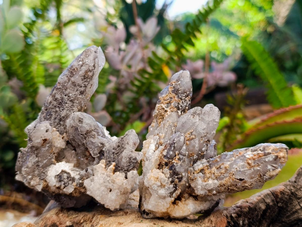 Natural Drusy Quartz Coated Calcite Cluster Specimens x 6 From Albert's Mountain, Lesotho - Toprock Gemstones and Minerals 