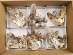 Natural Drusy Quartz Coated Calcite Cluster Specimens x 6 From Albert's Mountain, Lesotho - Toprock Gemstones and Minerals 