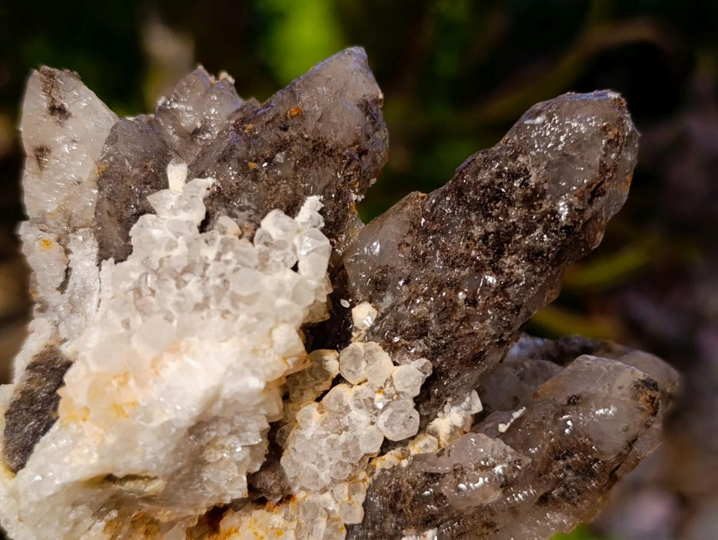 Natural Drusy Quartz Coated Calcite Cluster Specimens x 6 From Albert's Mountain, Lesotho - Toprock Gemstones and Minerals 