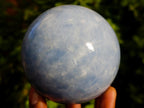 Polished Blue Calcite Spheres x 2 From Madagascar - Toprock Gemstones and Minerals 