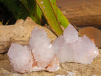 Natural Spirit Quartz Clusters x 6 From Boekenhouthoek, South Africa - Toprock Gemstones and Minerals 