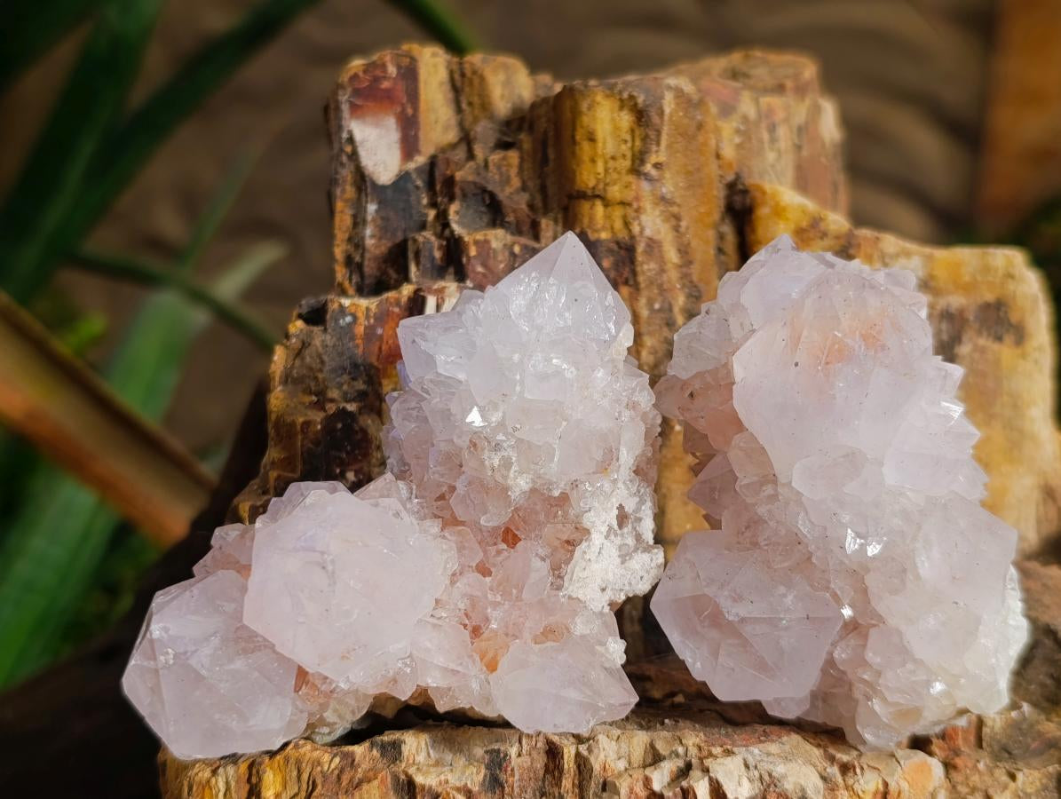 Natural Spirit Quartz Clusters x 6 From Boekenhouthoek, South Africa - Toprock Gemstones and Minerals 