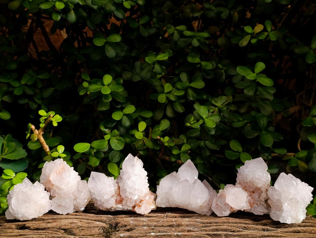 Natural Spirit Quartz Clusters x 6 From Boekenhouthoek, South Africa - Toprock Gemstones and Minerals 