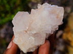 Natural Spirit Quartz Clusters x 6 From Boekenhouthoek, South Africa - Toprock Gemstones and Minerals 