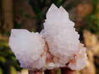 Natural Spirit Quartz Clusters x 6 From Boekenhouthoek, South Africa - Toprock Gemstones and Minerals 