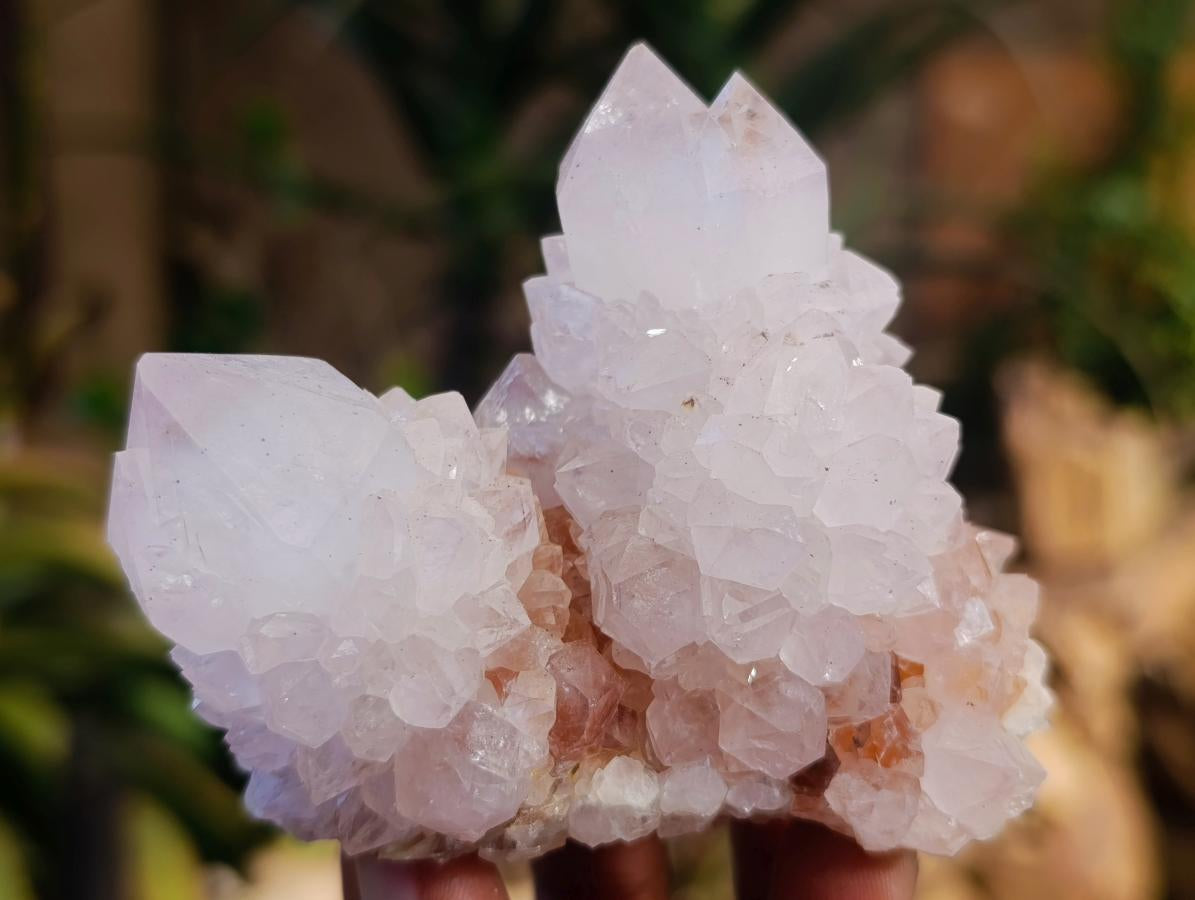 Natural Spirit Quartz Clusters x 6 From Boekenhouthoek, South Africa - Toprock Gemstones and Minerals 