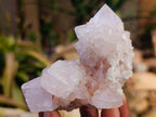 Natural Spirit Quartz Clusters x 6 From Boekenhouthoek, South Africa - Toprock Gemstones and Minerals 