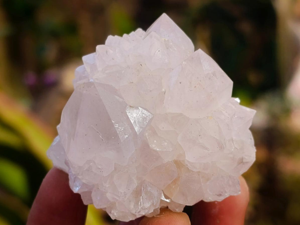Natural Spirit Quartz Clusters x 6 From Boekenhouthoek, South Africa - Toprock Gemstones and Minerals 