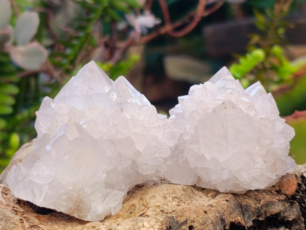 Natural Spirit Quartz Clusters x 6 From Boekenhouthoek, South Africa - Toprock Gemstones and Minerals 