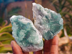 Natural Small Green Cubic Fluorite Specimens x 12 From Mandrosonoro, Madagascar - Toprock Gemstones and Minerals 