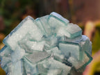 Natural Small Green Cubic Fluorite Specimens x 12 From Mandrosonoro, Madagascar - Toprock Gemstones and Minerals 