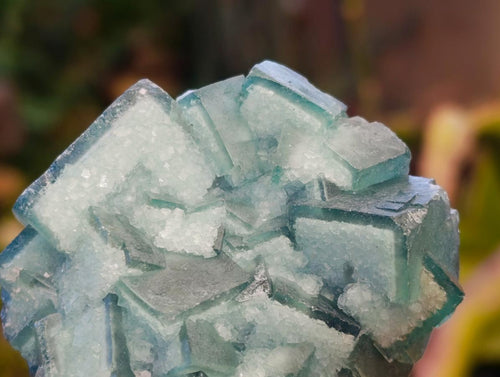 Natural Small Green Cubic Fluorite Specimens x 12 From Mandrosonoro, Madagascar - Toprock Gemstones and Minerals 
