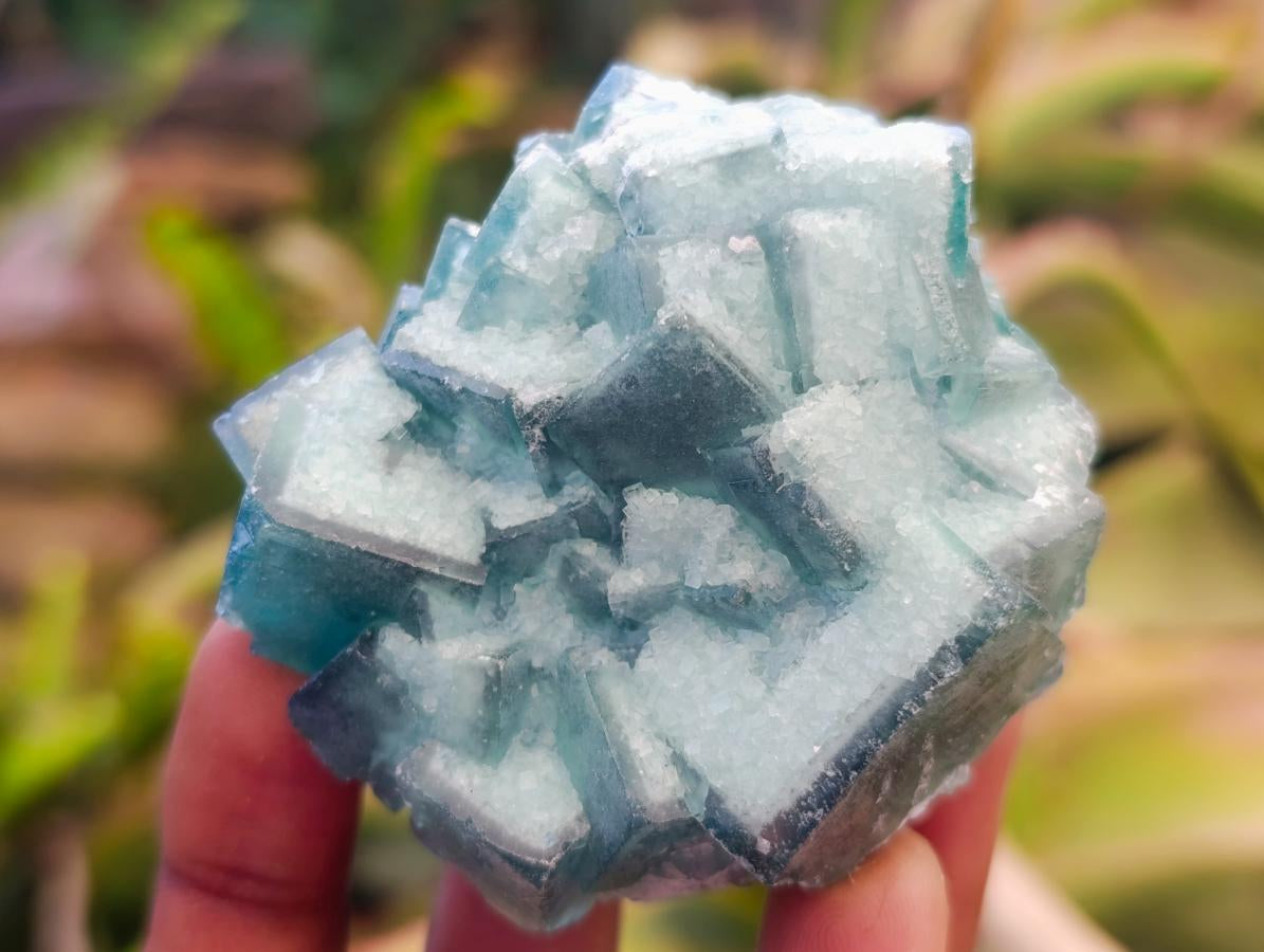Natural Small Green Cubic Fluorite Specimens x 12 From Mandrosonoro, Madagascar - Toprock Gemstones and Minerals 