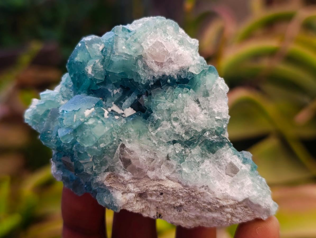 Natural Small Green Cubic Fluorite Specimens x 12 From Mandrosonoro, Madagascar - Toprock Gemstones and Minerals 