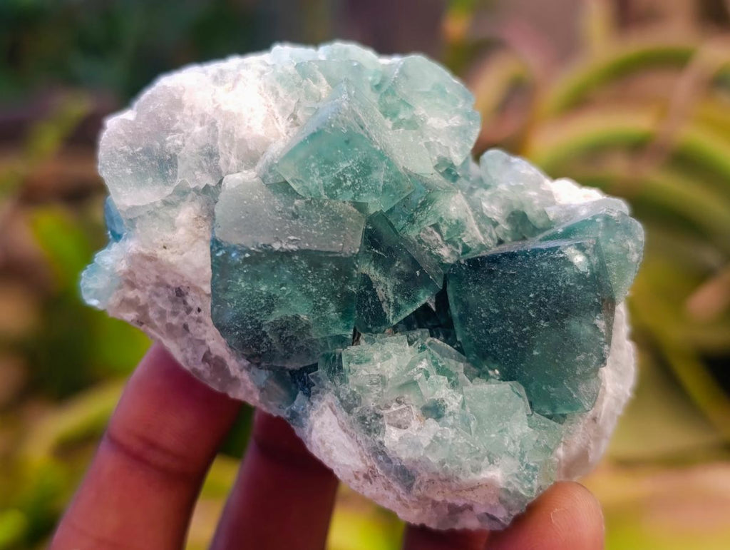 Natural Small Green Cubic Fluorite Specimens x 12 From Mandrosonoro, Madagascar - Toprock Gemstones and Minerals 