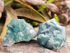 Natural Small Green Cubic Fluorite Specimens x 12 From Mandrosonoro, Madagascar - Toprock Gemstones and Minerals 
