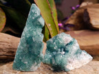Natural Small Green Cubic Fluorite Specimens x 12 From Mandrosonoro, Madagascar - Toprock Gemstones and Minerals 