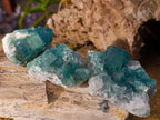 Natural Small Green Cubic Fluorite Specimens x 12 From Mandrosonoro, Madagascar - Toprock Gemstones and Minerals 