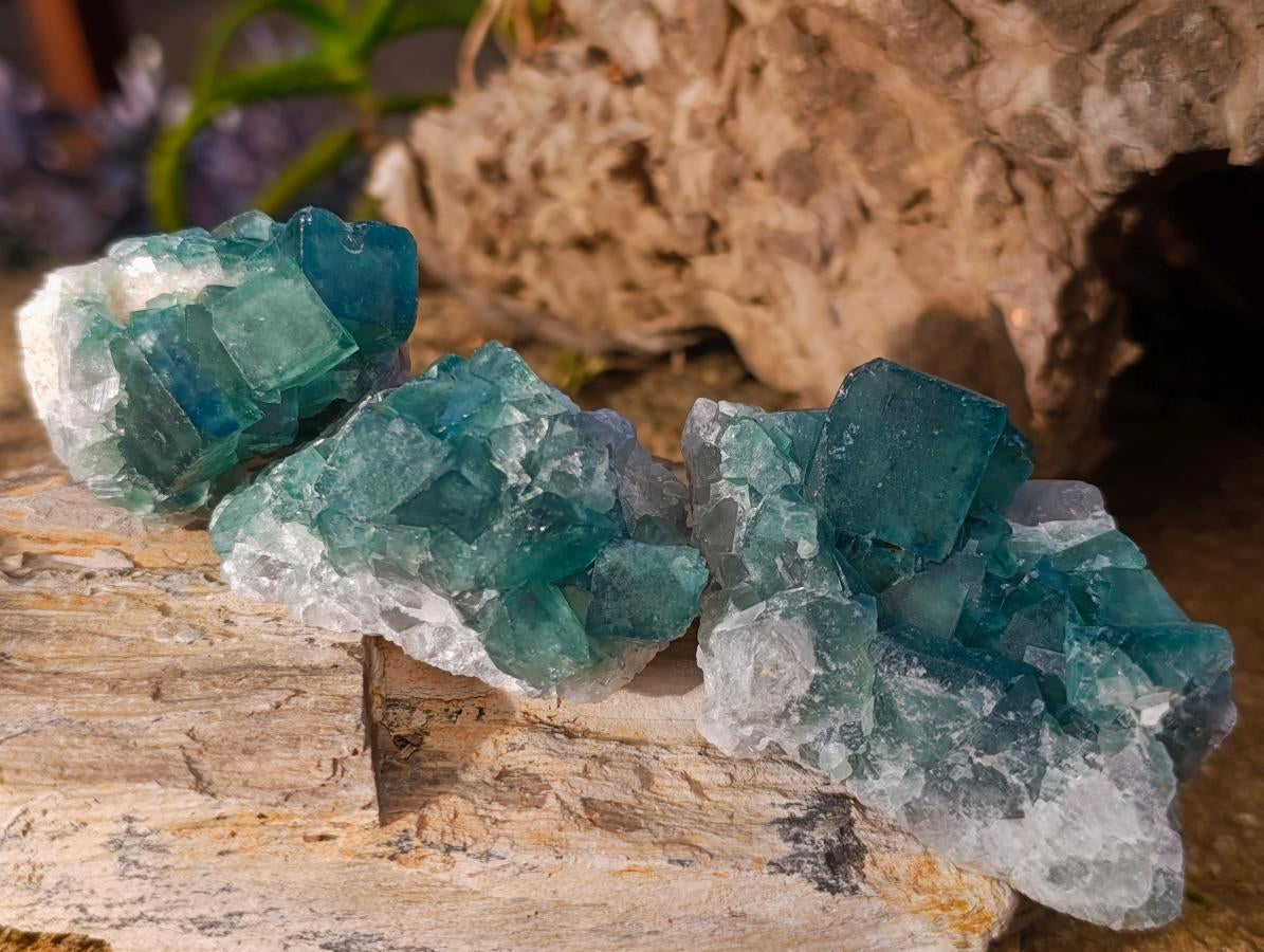 Natural Small Green Cubic Fluorite Specimens x 12 From Mandrosonoro, Madagascar - Toprock Gemstones and Minerals 